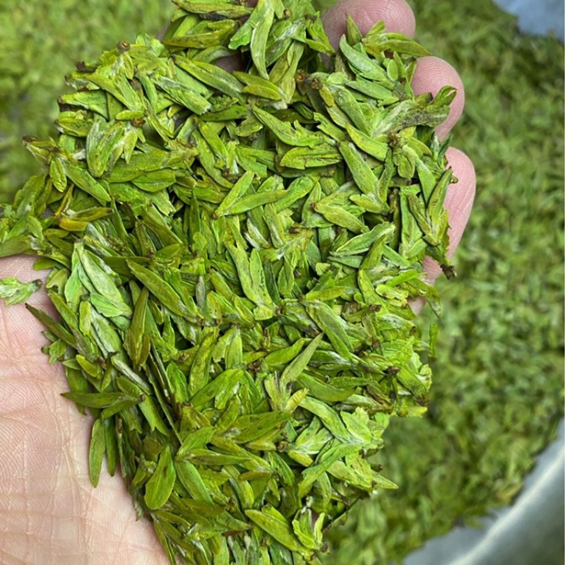 松阳乌牛早茶2023年新茶明前绿茶春茶浙江扁茶乌牛早茶叶