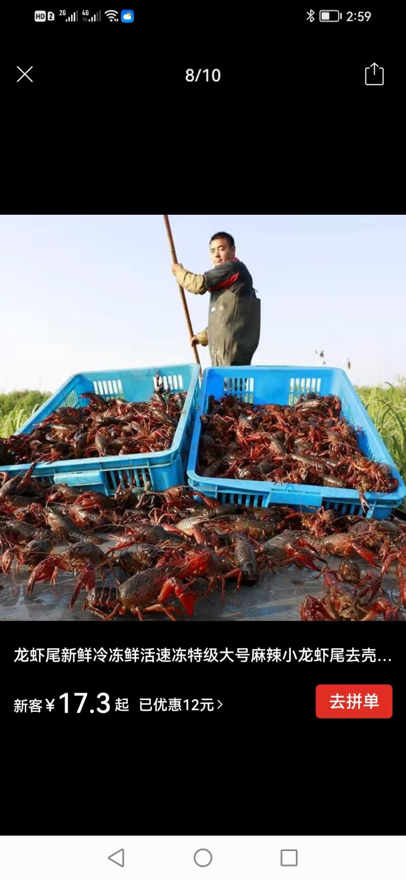 清水养殖小龙虾