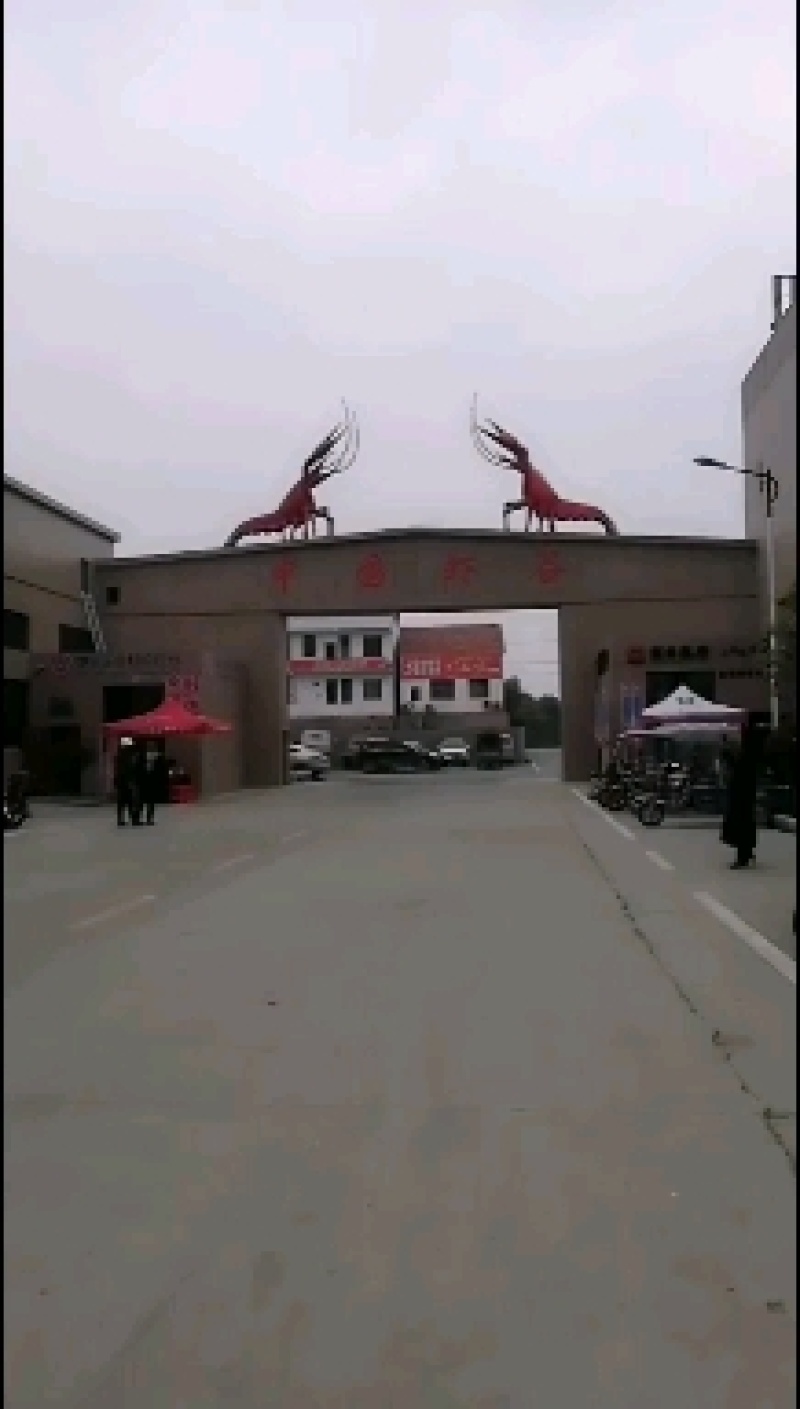 清水养殖小龙虾