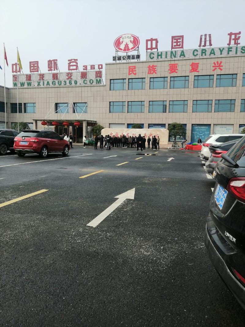 清水养殖小龙虾