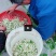 橙花提取液，有机自有千亩橙园橙花，疏花季釆摘橙花
