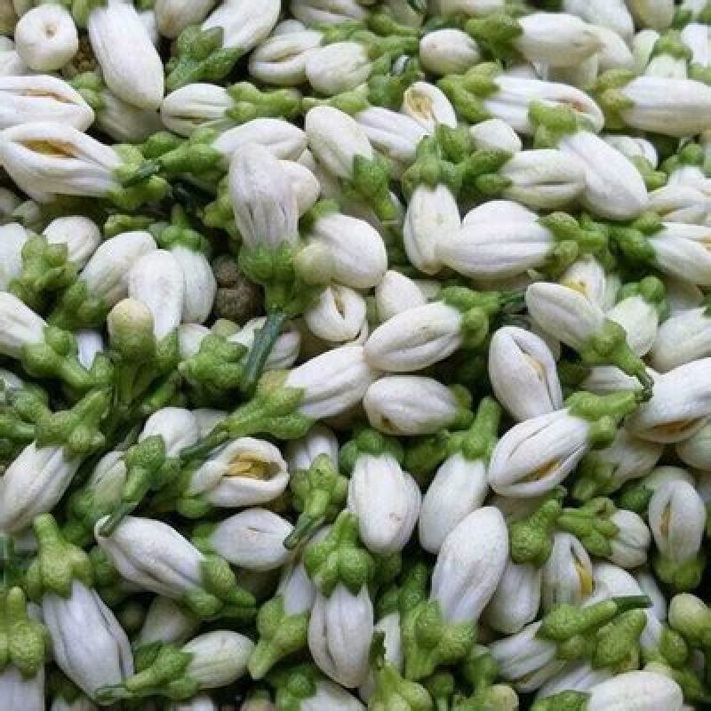 橙花提取液，有机自有千亩橙园橙花，疏花季釆摘橙花
