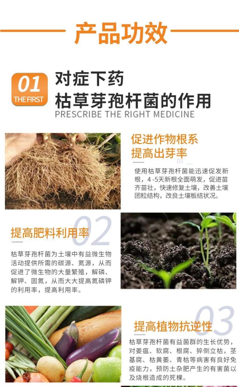 枯草芽孢杆菌复合型微生物菌肥防烂根死棵抗重茬微生物菌剂