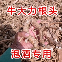 牛大力无硫根头干货，粉片，野生牛大力，片瓜子片煲汤泡酒