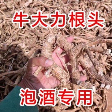 牛大力无硫根头干货，粉片，野生牛大力，片瓜子片煲汤泡酒