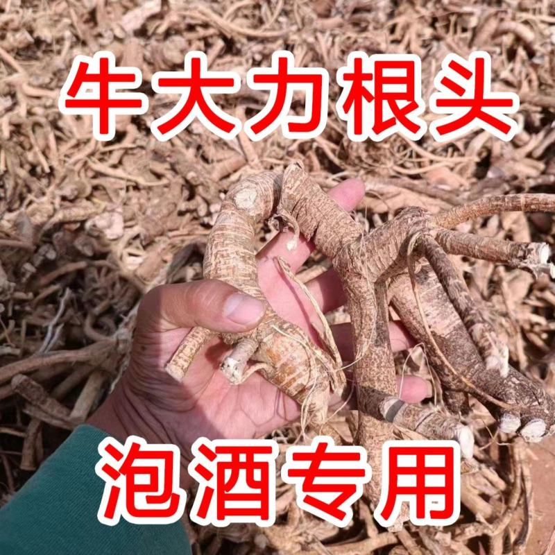 牛大力无硫根头干货，粉片，野生牛大力，片瓜子片煲汤泡酒