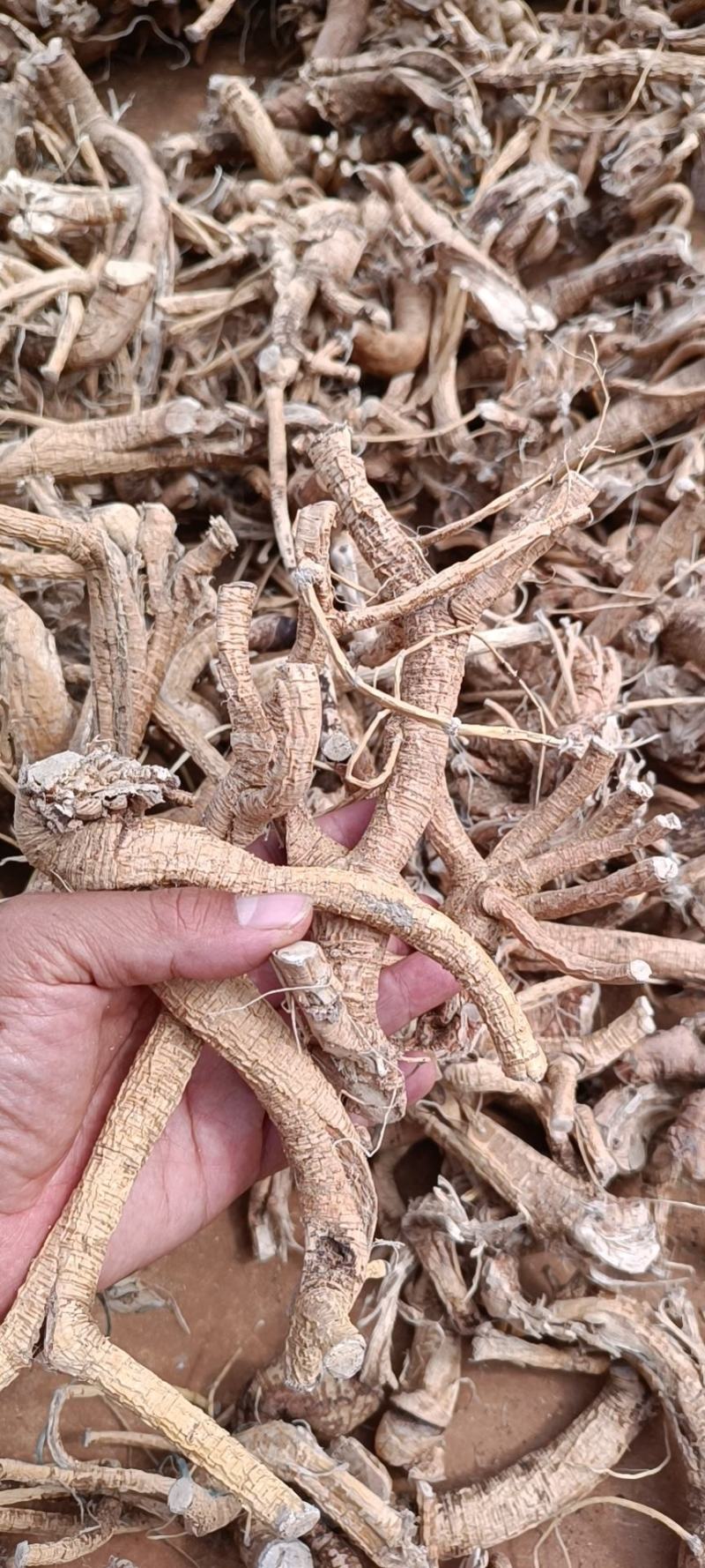 牛大力无硫根头干货，粉片，野生牛大力，片瓜子片煲汤泡酒