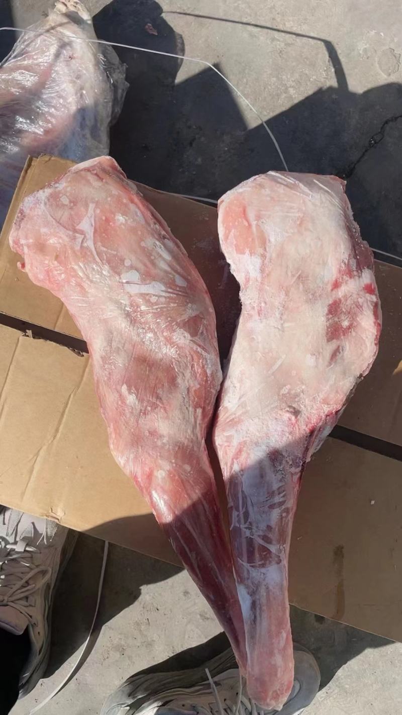 羔羊前腿烧烤饨锅卤制单重2.5斤至3斤质量保证