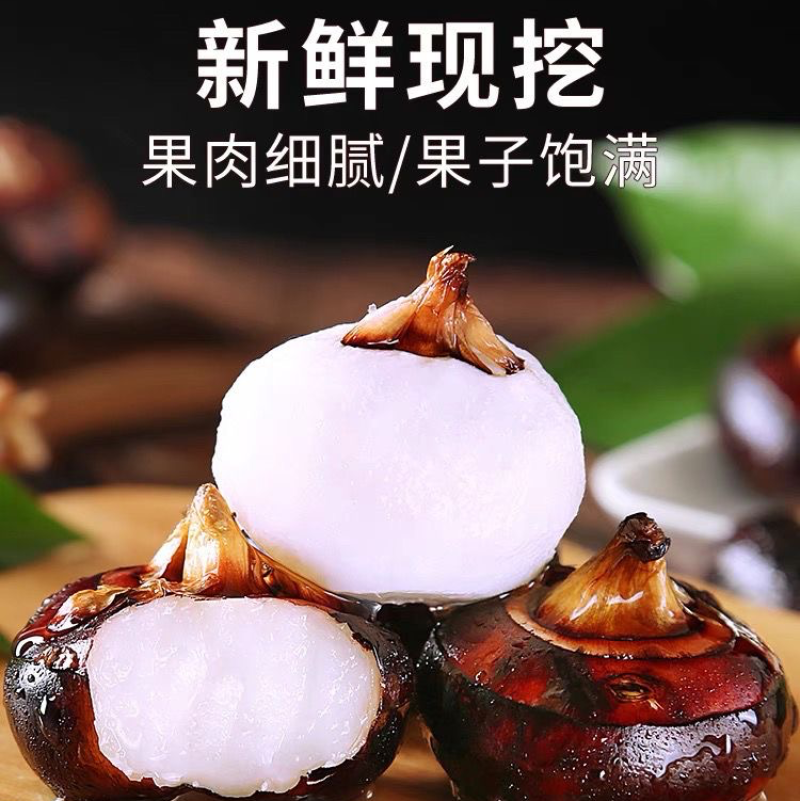 广西荔浦马蹄货源充足大量上市对接批发商超团购