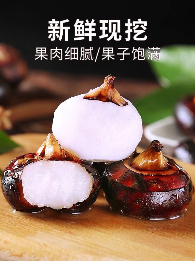 广西荔浦马蹄货源充足大量上市对接批发商超团购