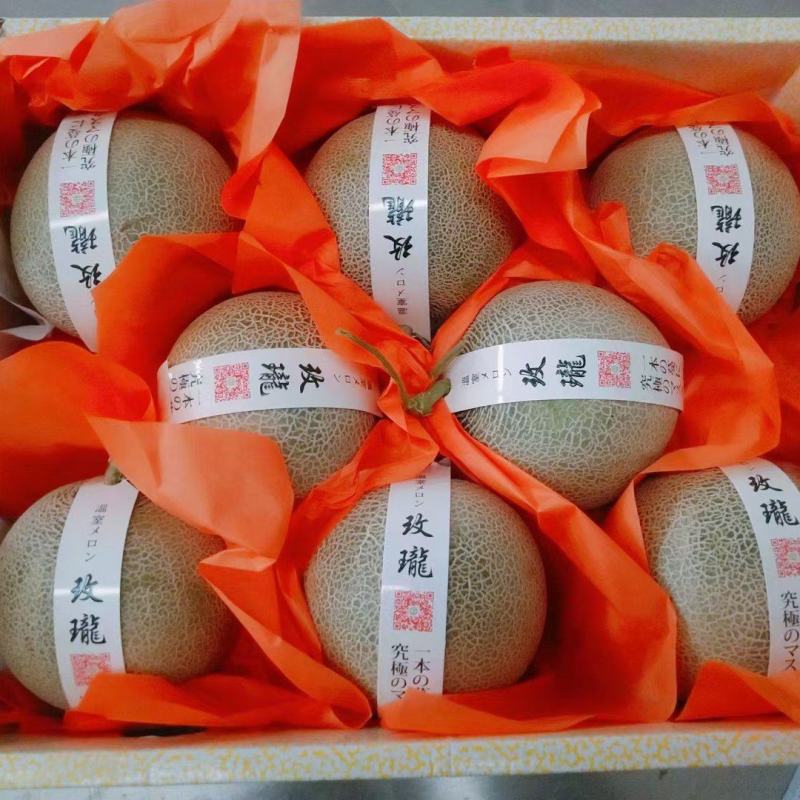 网纹