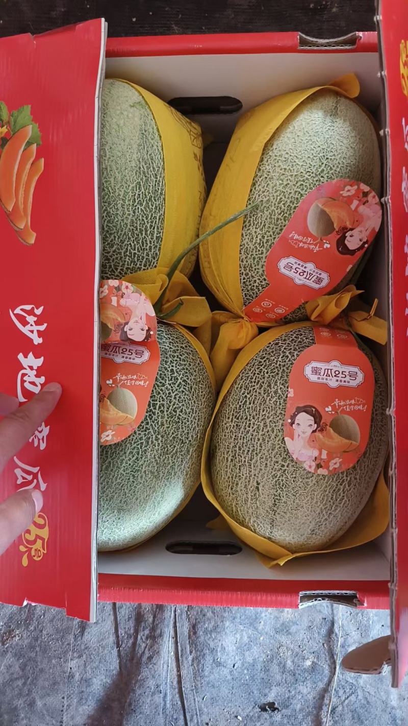 网纹