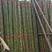果蔬大棚支架，装饰田园围栏3-5公分竹竿大量，价格美丽可
