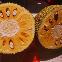 广东菠萝蜜大量上市红肉黄肉品种齐全三包质量到果场地验货