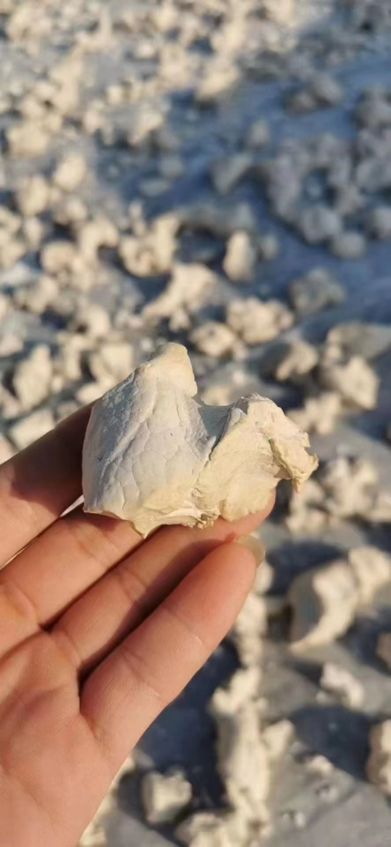 粤北野生葛粉