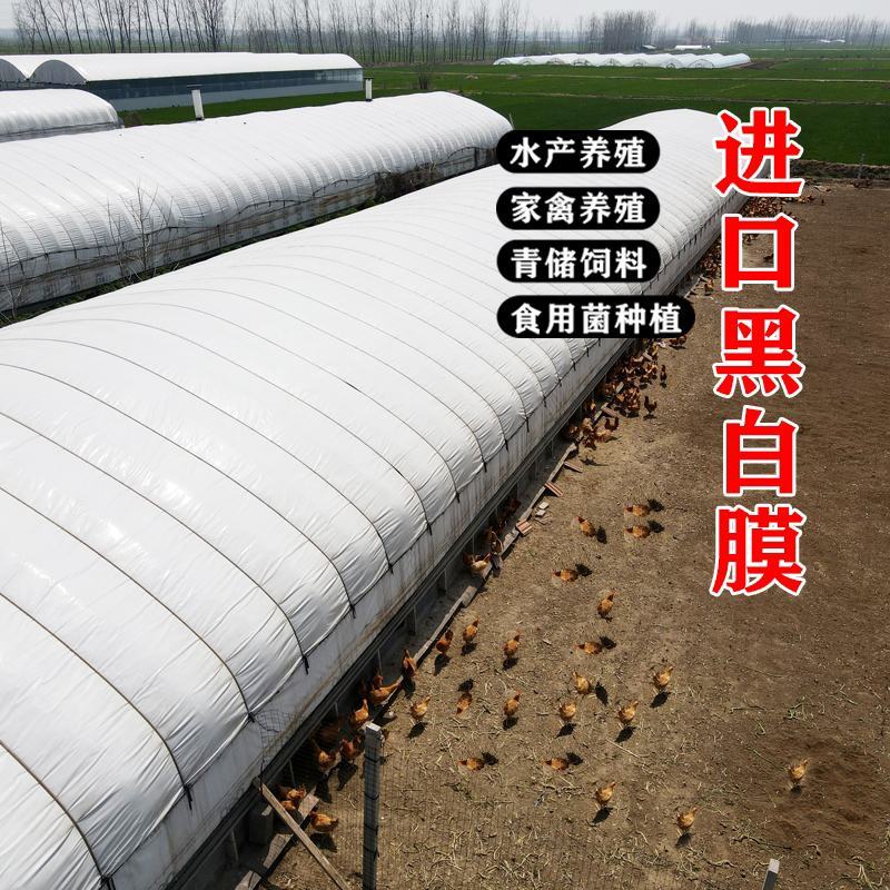 无滴膜，PO膜，养殖大棚黑白膜，保温毛毡，尺寸可定制