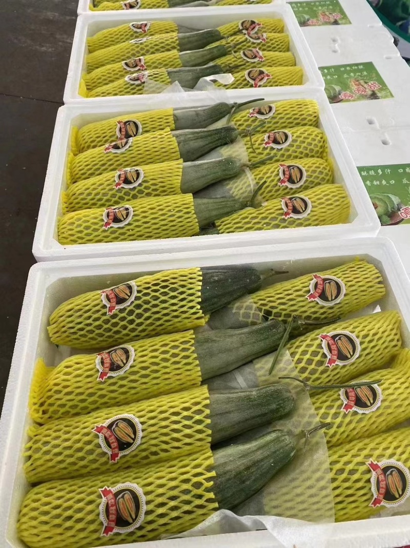 山东潍坊羊角蜜5斤包邮