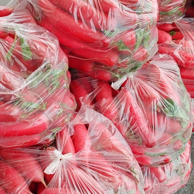 红皮水萝卜大量上市