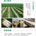 特产农家咸萝卜干脆爽口手工腌制咸卜条工厂直发