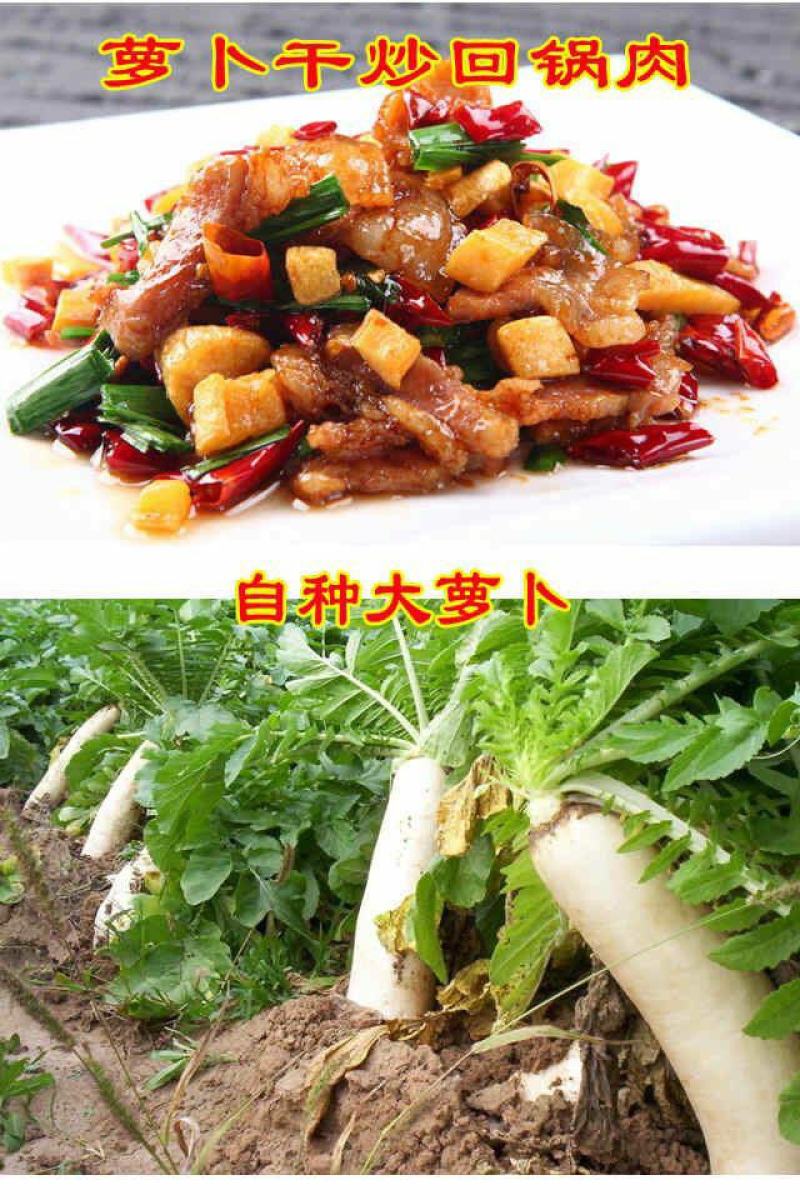 特产农家咸萝卜干脆爽口手工腌制咸卜条工厂直发