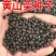 新采栾树种子北京栾树种子林木种子黄山栾树种子北栾