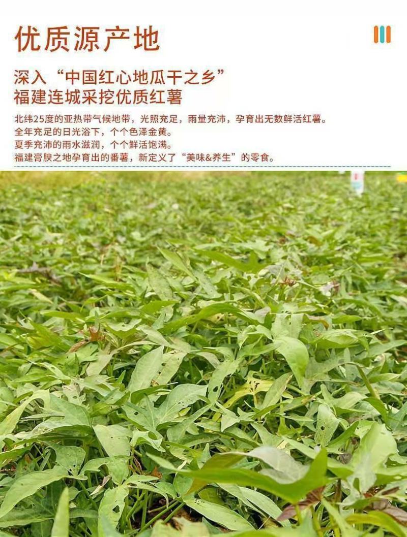 天然红薯干农家自制纯地瓜干倒蒸天然番薯，工厂直发