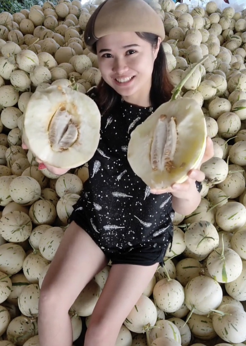梦露甜瓜蜜露甜瓜高糖度耐运输产地直发，欢迎来电