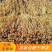 广东特产英德西牛农家笋花麻竹笋干农家笋花自然晒干无硫