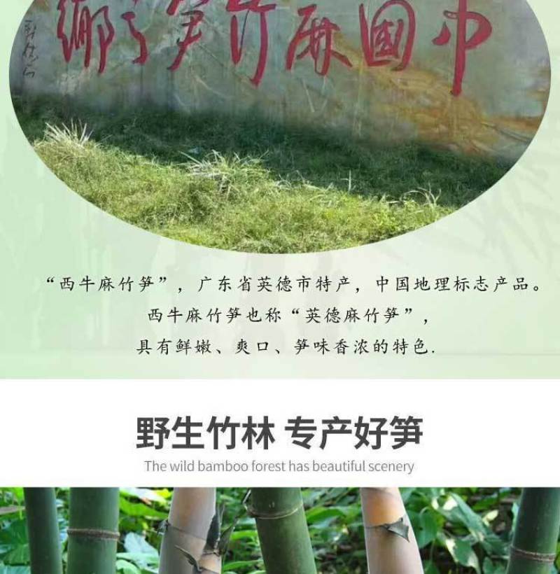 广东特产英德西牛农家笋花麻竹笋干农家笋花自然晒干无硫