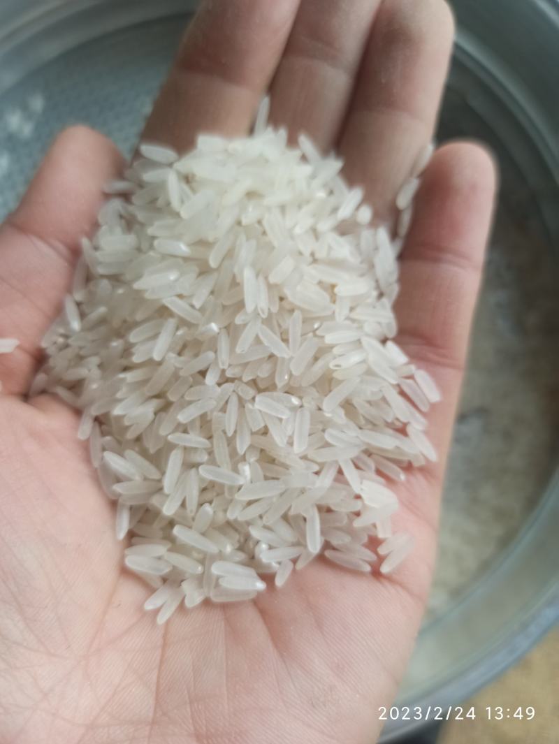 精品黄花粘，低温烘干，米质油亮，饭香软糯
