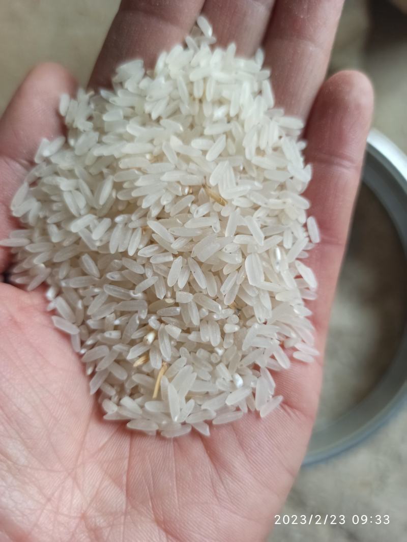 精品黄花粘，低温烘干，米质油亮，饭香软糯
