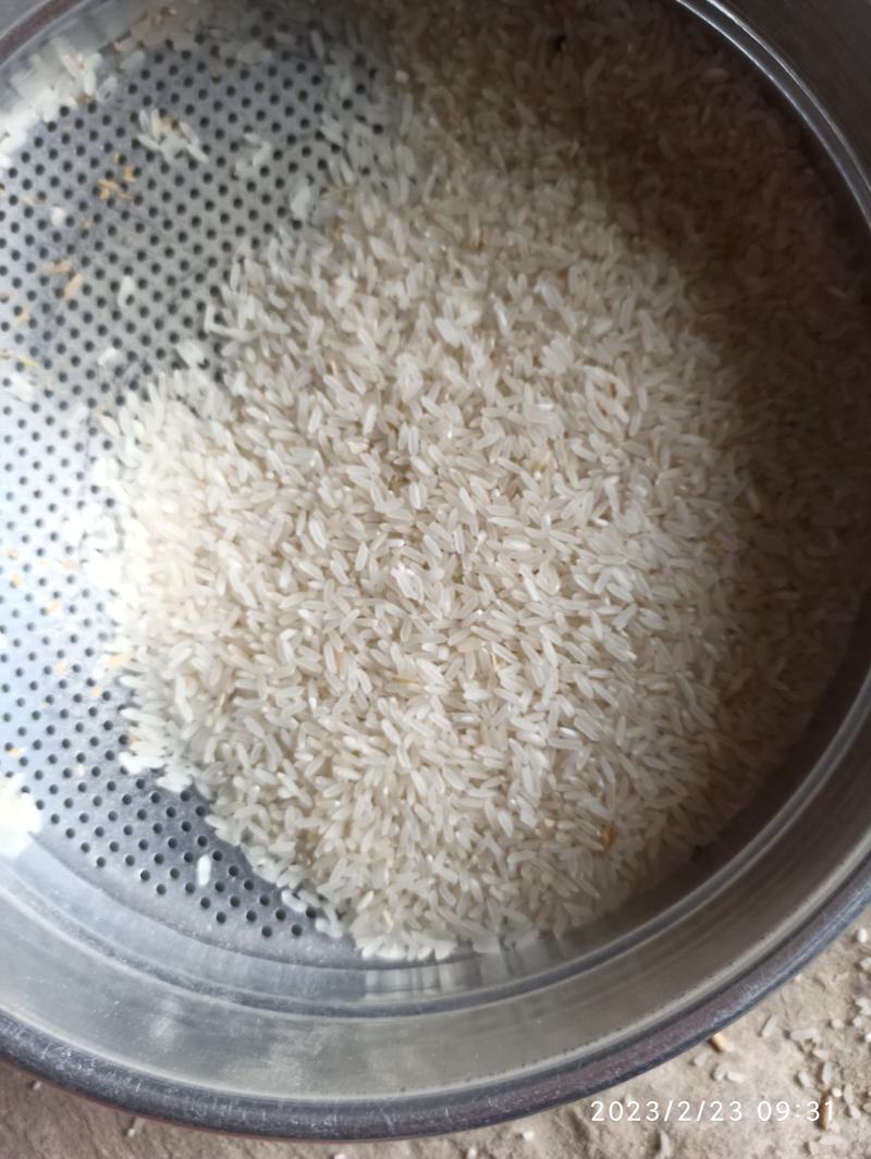 精品黄花粘，低温烘干，米质油亮，饭香软糯