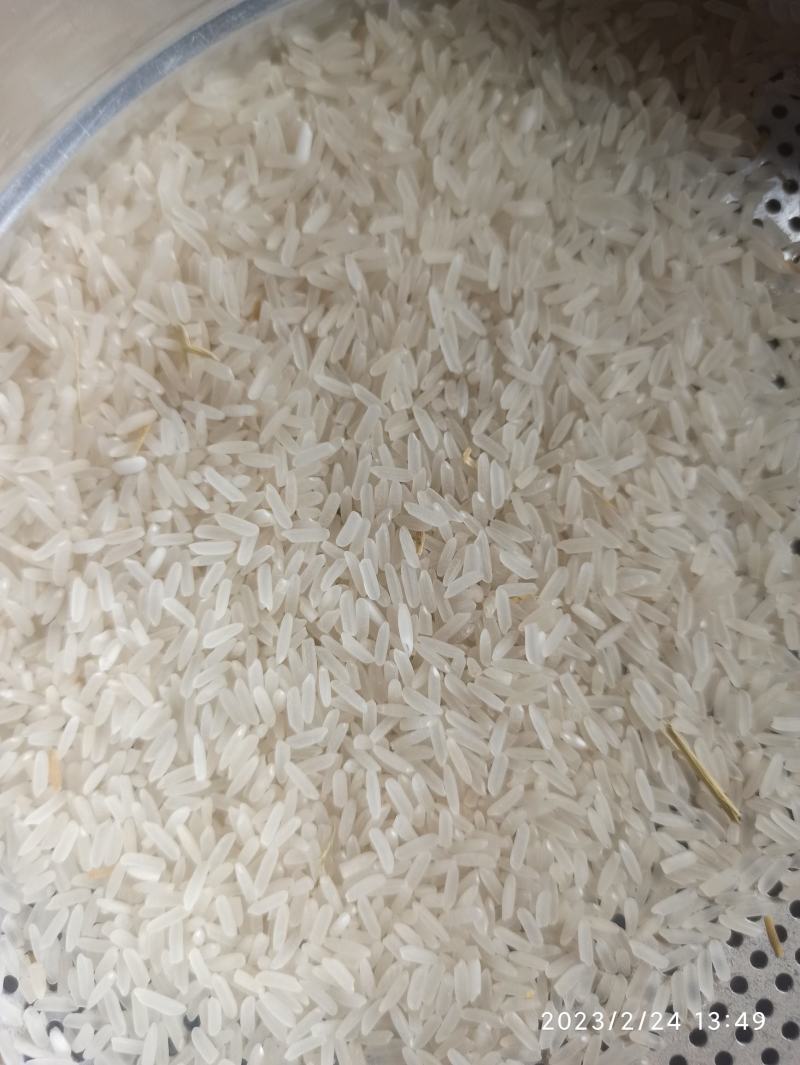 精品黄花粘，低温烘干，米质油亮，饭香软糯