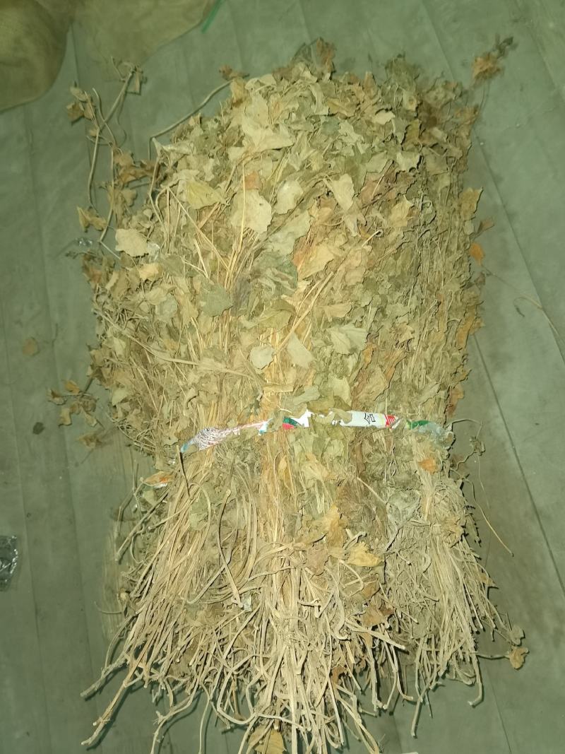 四川野生药用鱼腥草，高含量，足干，无杂，无霉