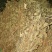 四川野生药用鱼腥草，高含量，足干，无杂，无霉