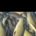 鱼