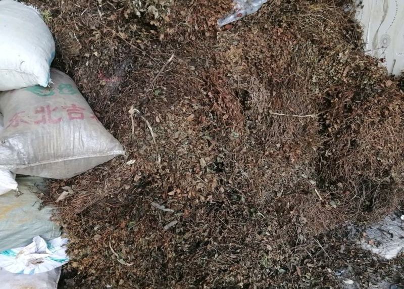 四川野生药用鱼腥草，高含量，足干，无杂，无霉