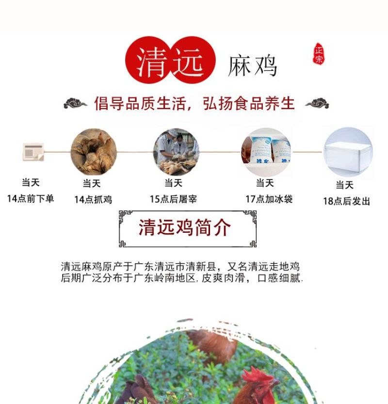 【正宗清远鸡】广东清远麻鸡农家散养走地鸡月子鸡老母