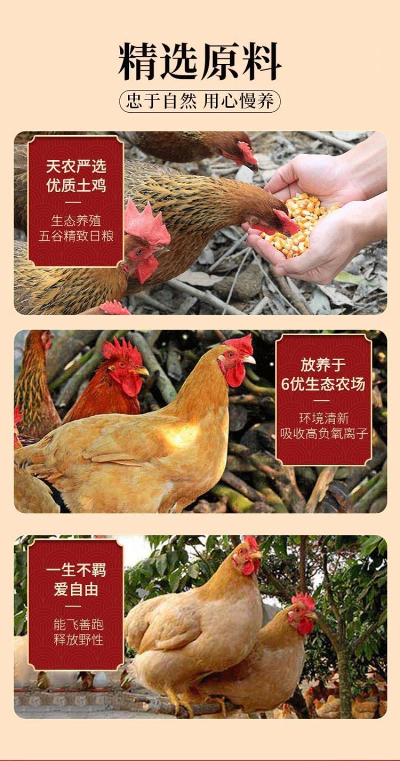 盐焗手撕鸡正宗广东清远特产熟食休闲小吃农家散养土鸡78