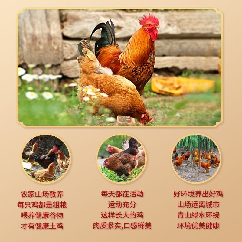广东盐焗鸡整只正宗客家盐焗风味特产熟食真空手撕盐