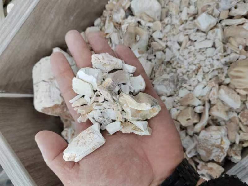 龙齿水洗纯净货500克一包十公斤包邮包过检正品龙齿