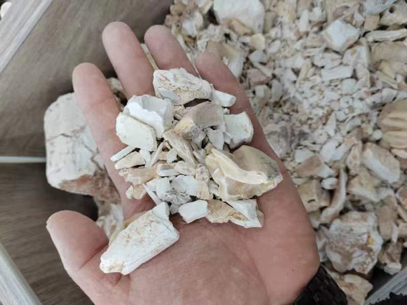 龙齿水洗纯净货500克一包十公斤包邮包过检正品龙齿