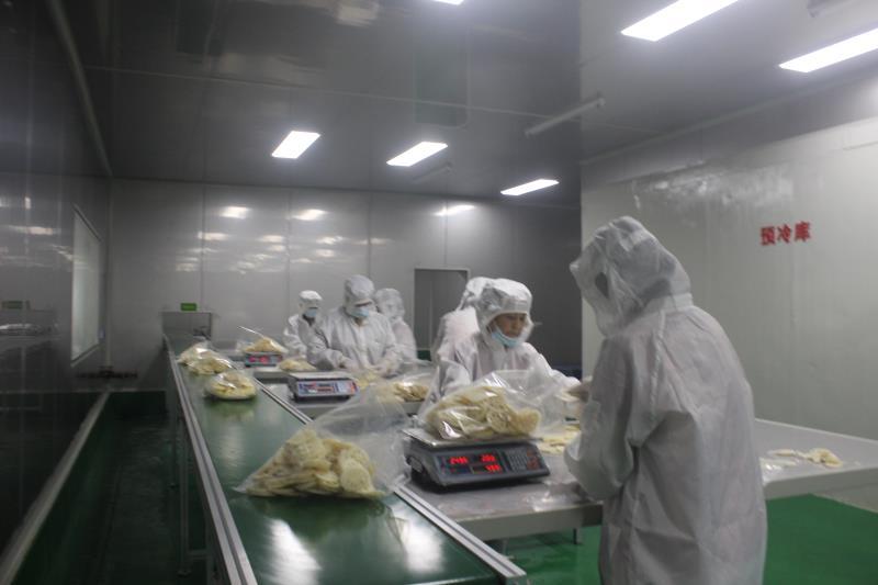 鲜脆藕片，鄂莲6号，真空包装厂家货源质量保证，欢迎采购