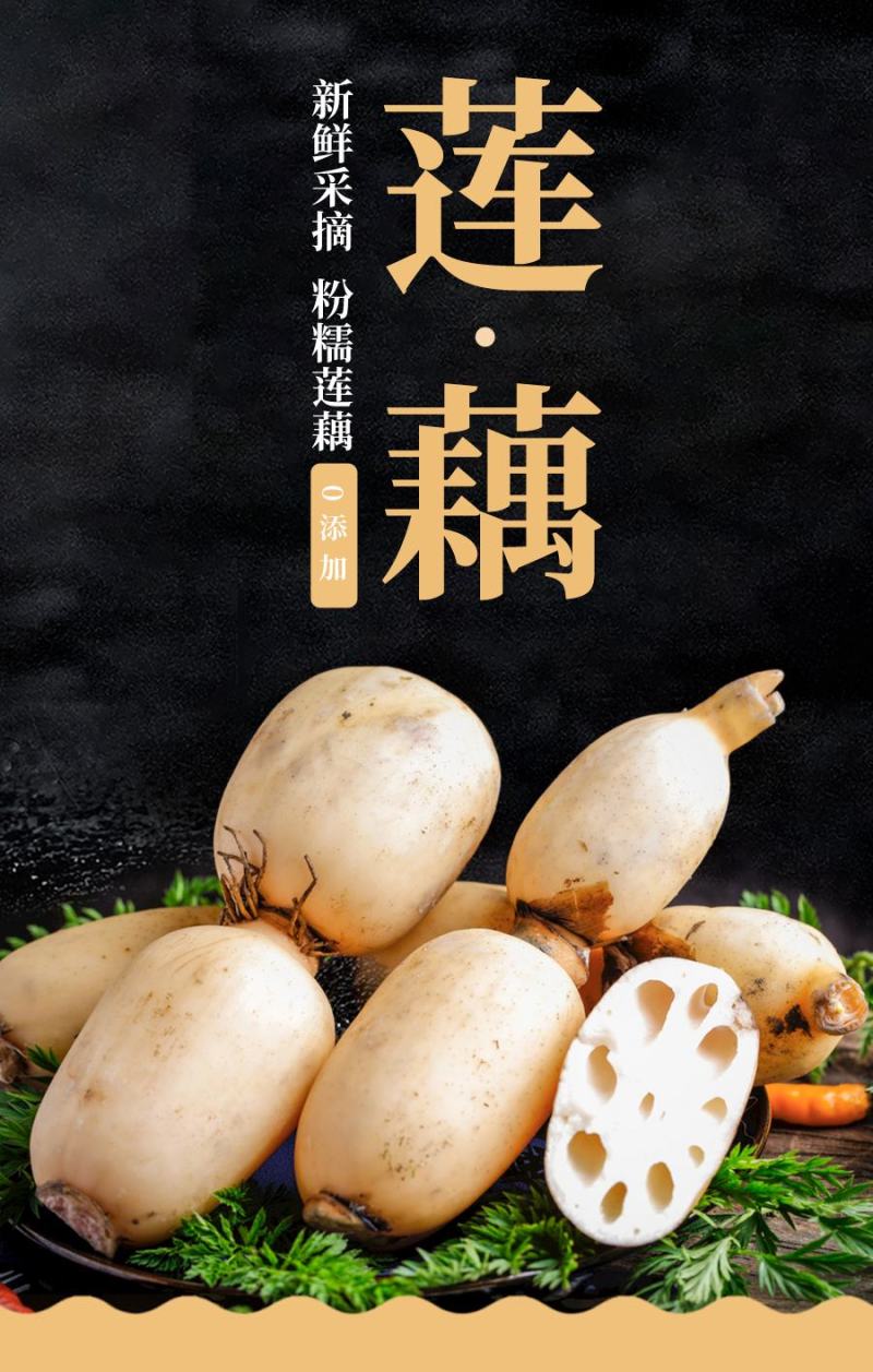 鲜脆藕片，鄂莲6号，真空包装厂家货源质量保证，欢迎采购