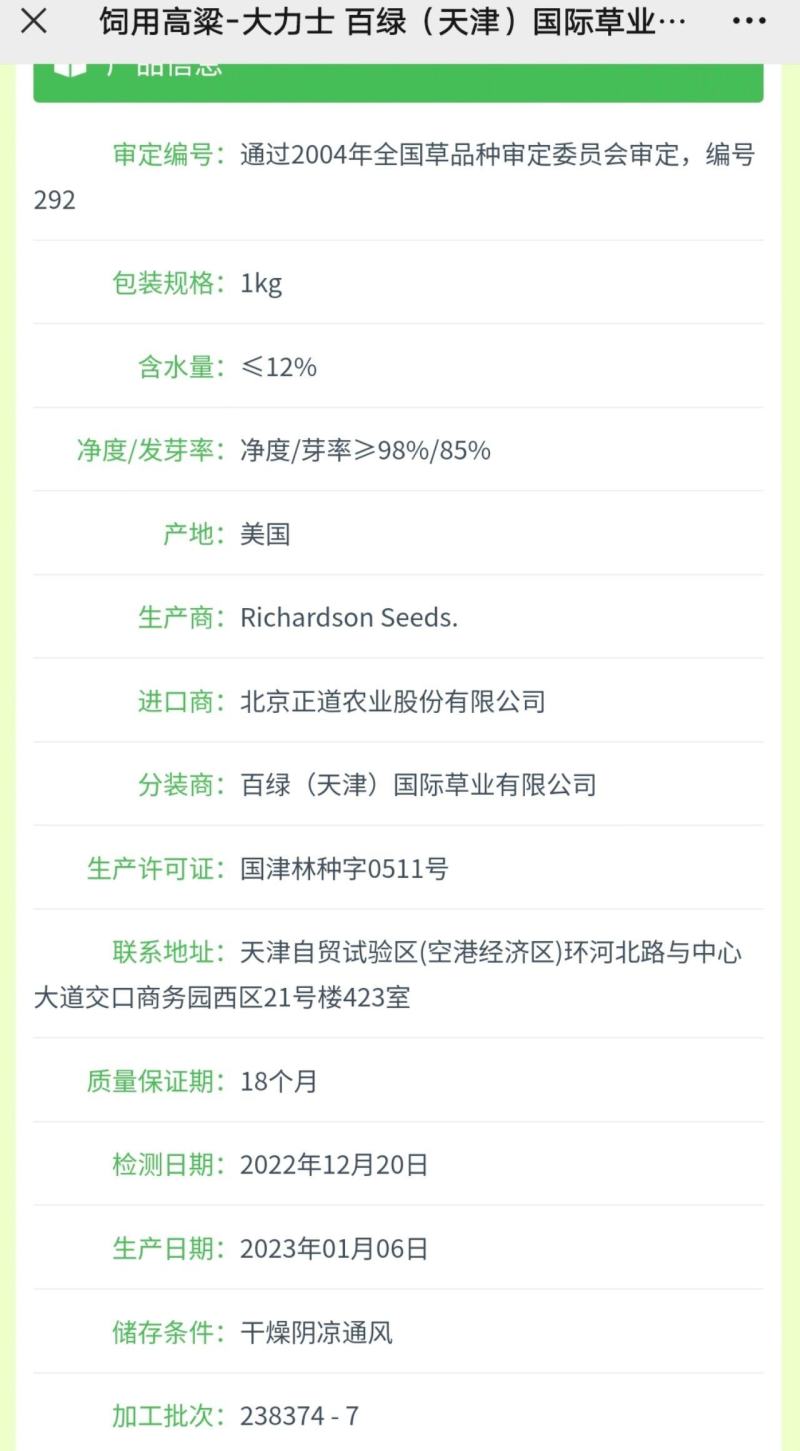 正宗原装百绿大力士甜高粱种子牛羊饲用甜高粱牧草种子籽抗倒