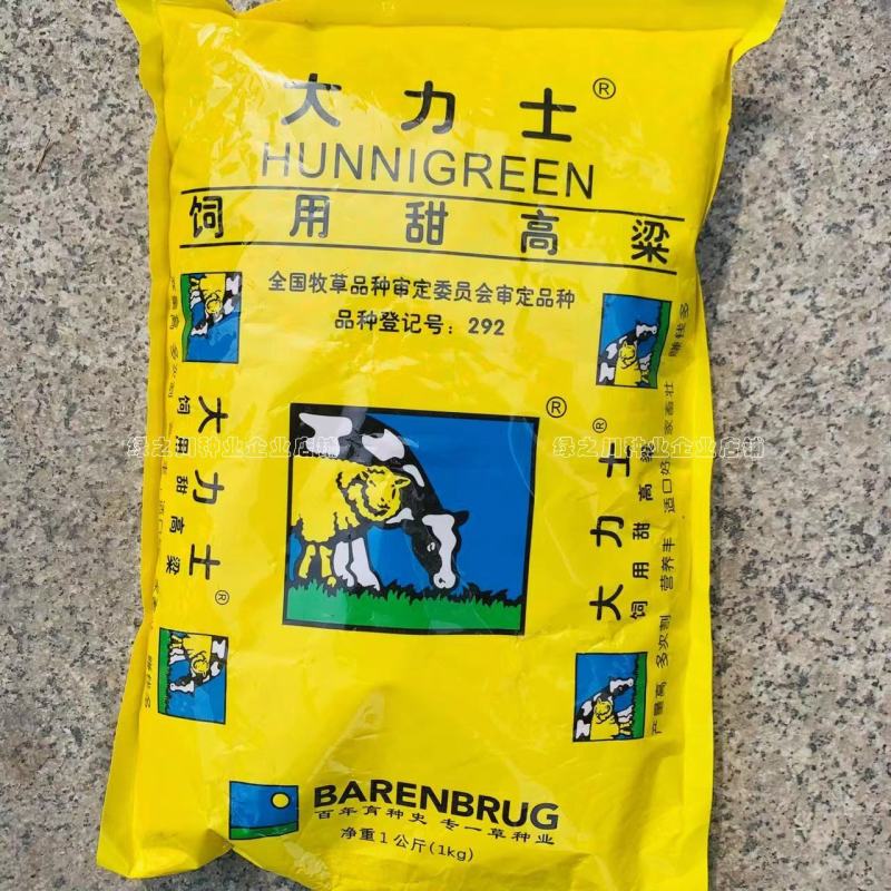 正宗原装百绿大力士甜高粱种子牛羊饲用甜高粱牧草种子籽抗倒
