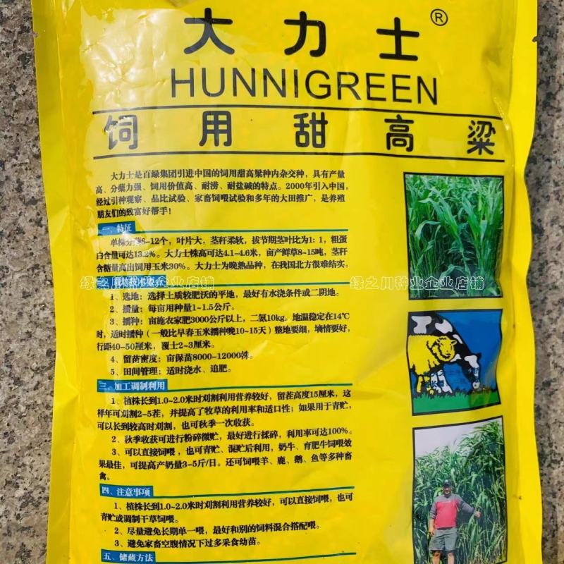 正宗原装百绿大力士甜高粱种子牛羊饲用甜高粱牧草种子籽抗倒