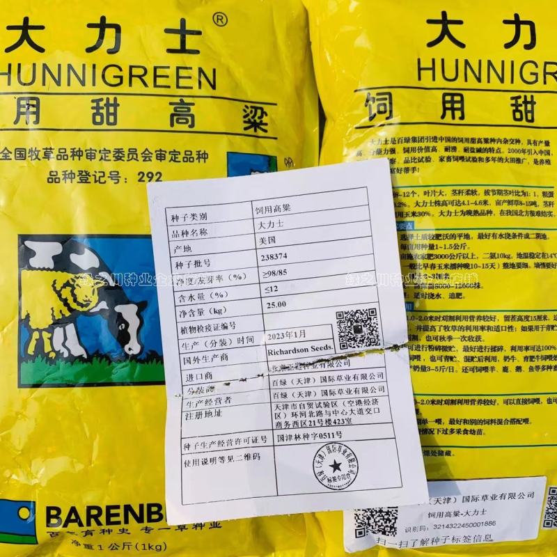 正宗原装百绿大力士甜高粱种子牛羊饲用甜高粱牧草种子籽抗倒