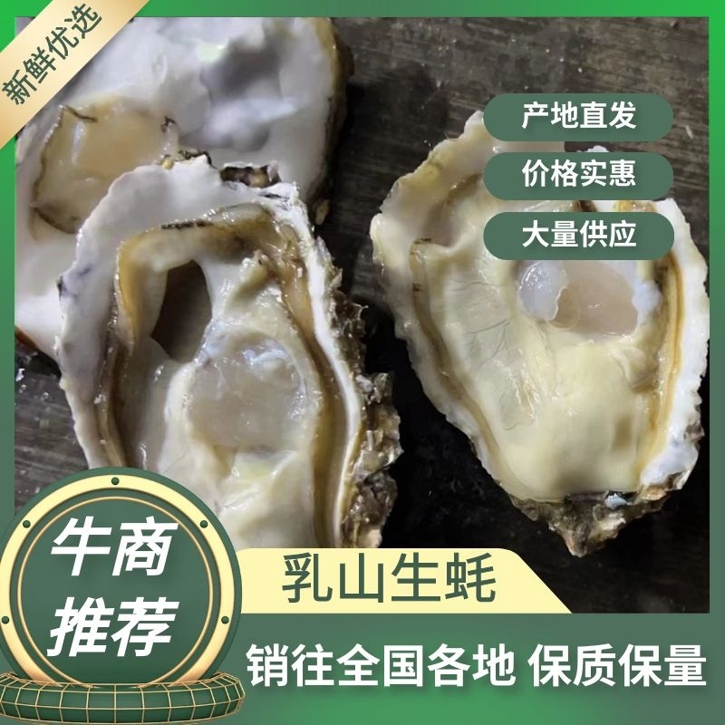 乳山生蚝：精品三倍体生蚝，承接整车团购散单