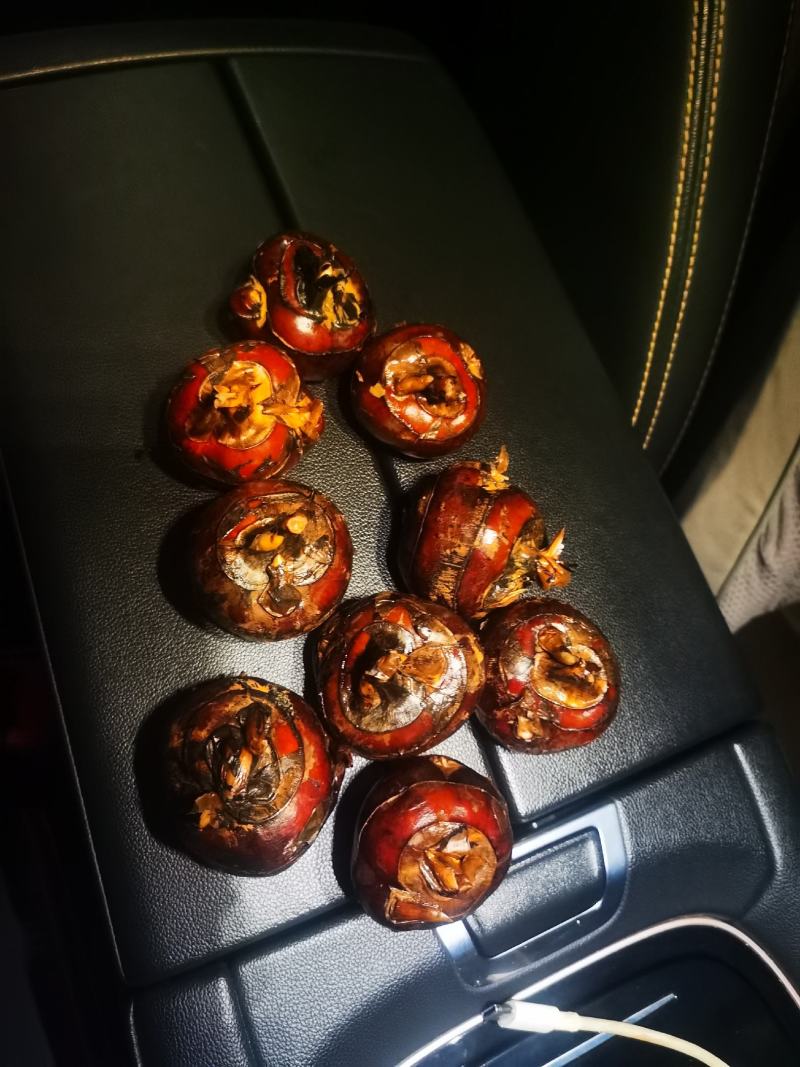 广西贺州毛马蹄，个头大，甜度够原产地一手货源，欢迎进店订购